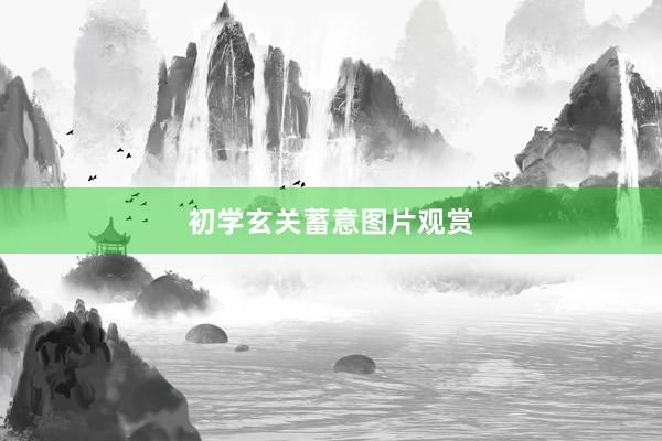 初学玄关蓄意图片观赏