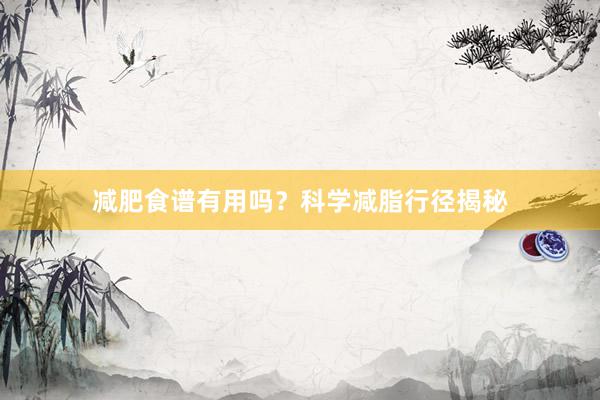 减肥食谱有用吗？科学减脂行径揭秘